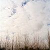 Untitled from the series The Earth Swallowed (2011 in progress)