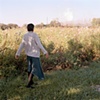 Untitled from the series The Earth Swallowed (2011 in progress)