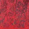 Crimson Passion