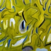 yellow #2