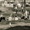 Los Angeles park