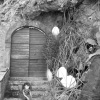 Fairy Land