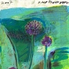 Alliums