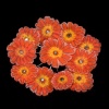 Hawk Weed Brooch