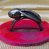 Rabbit Ring