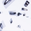 Teeth