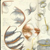 Drawings; Pages 17 and 18