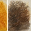 Hairshow #28, #37 and #31