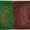 Dyed and Parted (1)