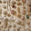 Mouthpieces, detail