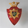 Vintage Military Pin