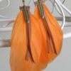 Feather Earrings