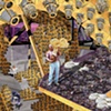 Mushroom Cavern