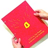 CCTV Loop Book