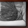untitled (worm-eating warbler), detail