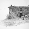 Untitled (French picnic), detail