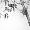 please don't bury me in wood, detail
