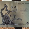 Roots for Trees Sign in Chelsea Neighborhood, New York