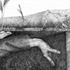 please don't bury me in wood, detail