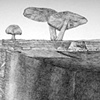please don't bury me in wood, detail