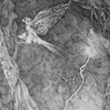 detail 5