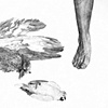 The Birds of Evil, detail