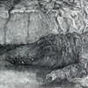 The Hunting Ground, detail