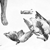The Birds of Evil, detail