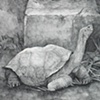 The Hunting Ground, detail