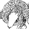 CHIMERA