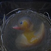 Duck Soap