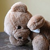 Little Bear