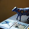 Cow Parade