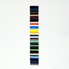 The Color of Everyone's Shirt that Entered the Roasterie Coffee Shop on April 4, 2009 from 11:00am - 12:00pm