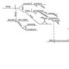 Diagrams on Conceptual Art