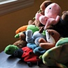 Beanie Babies
