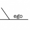 Sentence #7