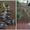 Pigeon Feeding