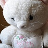 Kitty 