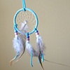 Dream Catcher
