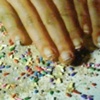 Sprinkle Dust