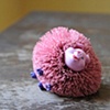 Piggy Koosh