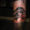 panther knee
