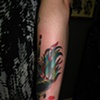 rooster 3