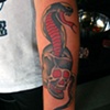 krak skull