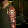 tims tigert