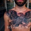 eagle one shot