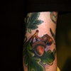 acorn 2