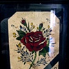 paynes rose