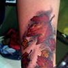 fall leaves